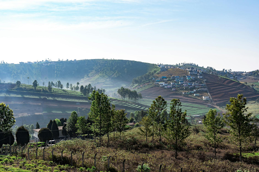 Ooty View